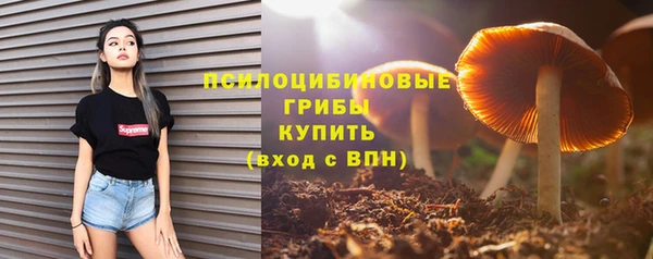 гидра Алзамай