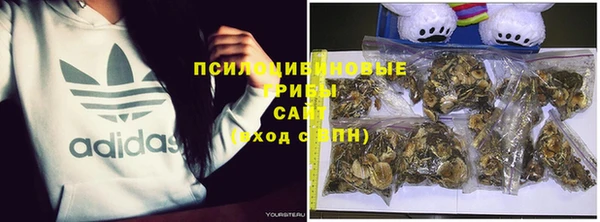 бутират Алексеевка
