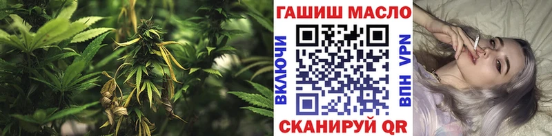 ТГК концентрат  OMG tor  Новозыбков 