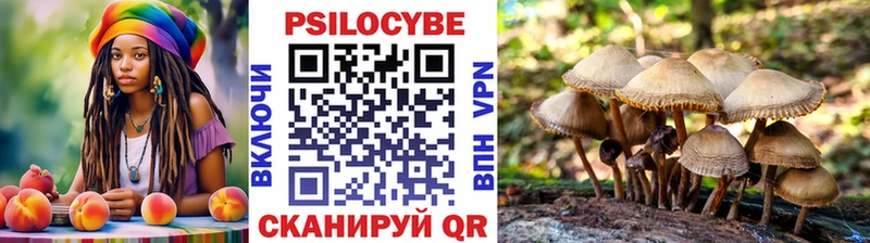 Галлюциногенные грибы Psilocybine cubensis  дарк нет клад  Новозыбков 